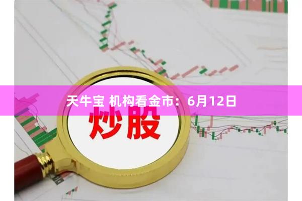 天牛宝 机构看金市：6月12日