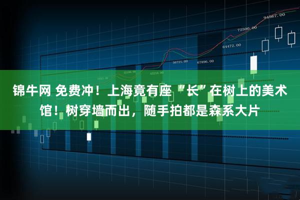 锦牛网 免费冲！上海竟有座 “长”在树上的美术馆！树穿墙而出，随手拍都是森系大片